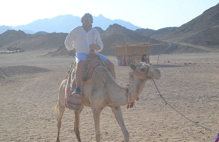Private Buggy Tour in Safaga am Morgen mit Kamelreiten