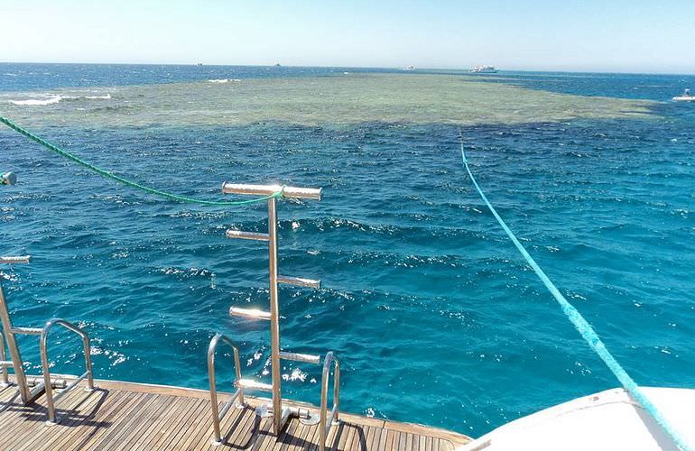 Insel Ausflug mit Schnorcheln ab Safaga - Karibik Feeling pur