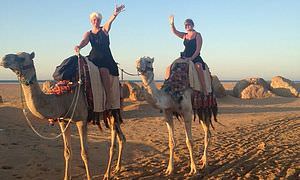 Kamelreiten ab Safaga: Reiten am Strand oder in der Wüste