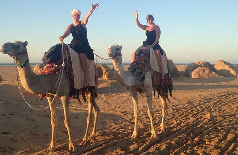 Kamelreiten in Safaga: Reiten am Strand oder in der Wüste