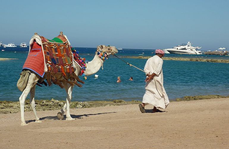 Kamelreiten in Safaga: Reiten am Strand oder in der Wüste