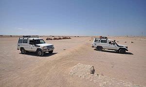 Kombi-Wüstentour ab Safaga: Quad, Jeep, Buggy und Kamelreiten
