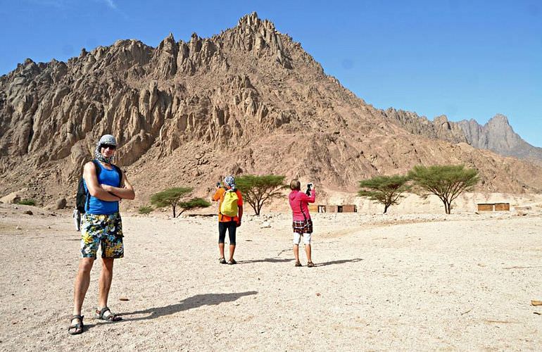 Kombi-Wüstentour in Safaga: Quad, Jeep, Buggy und Kamelreiten