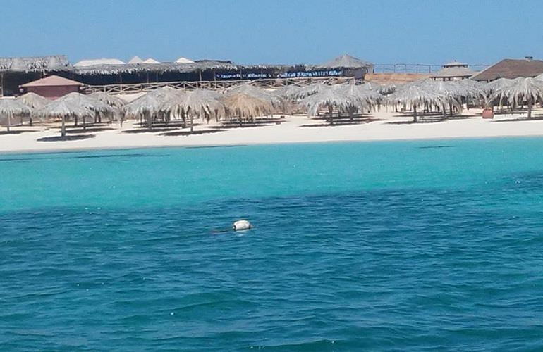 Ausflug von Safaga zur Paradies Insel mit dem Boot