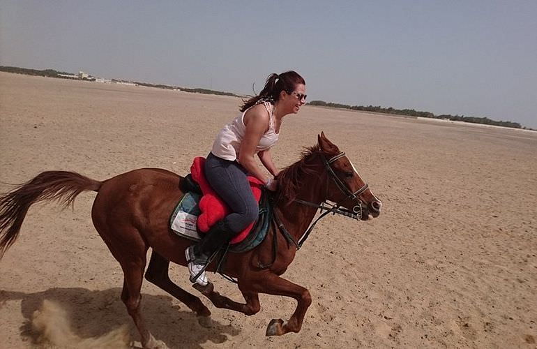 Pferde Reiten in Safaga: Reiten am Strand oder in der Wüste