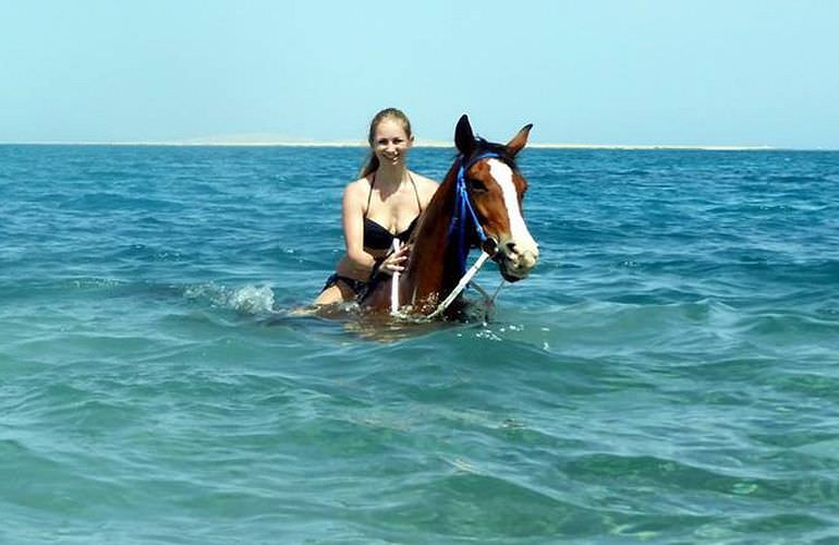 Pferde Reiten in Safaga: Reiten am Strand oder in der Wüste