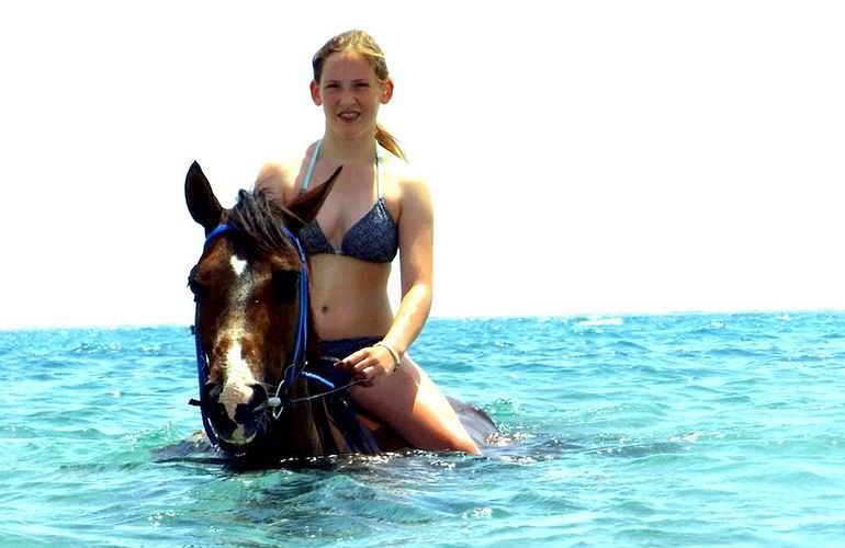 Pferde Reiten in Safaga: Reiten am Strand oder in der Wüste