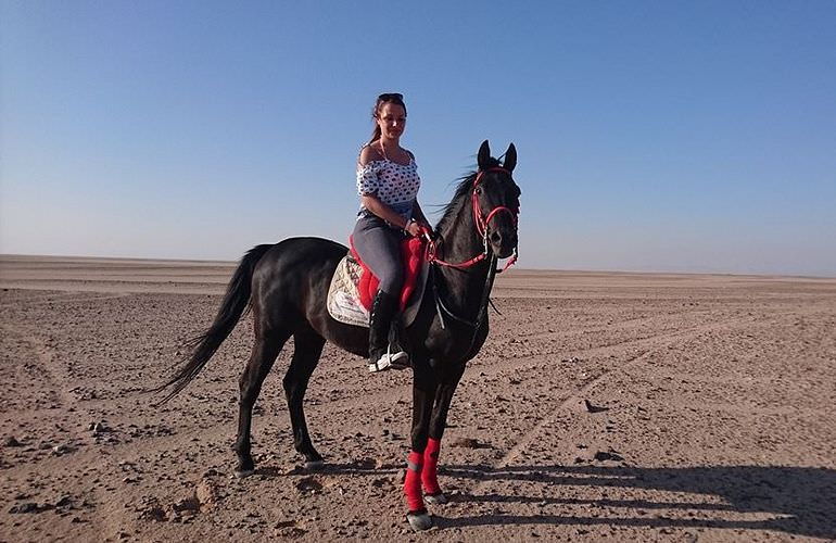 Pferde Reiten in Safaga: Reiten am Strand oder in der Wüste