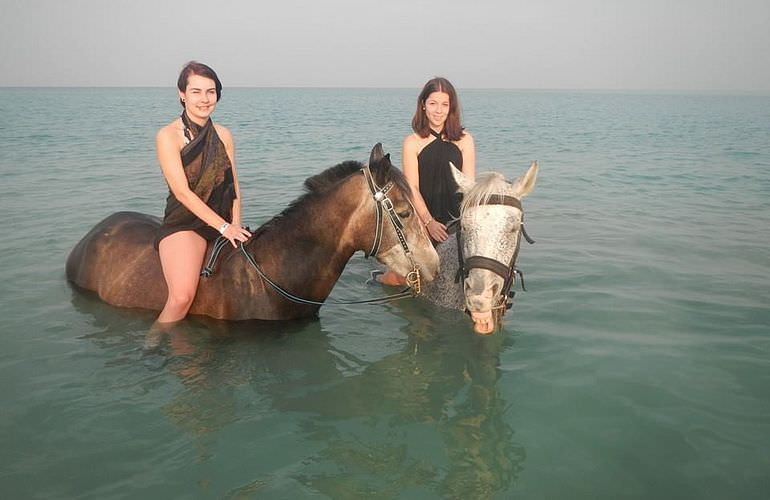 Pferde Reiten in Safaga: Reiten am Strand oder in der Wüste