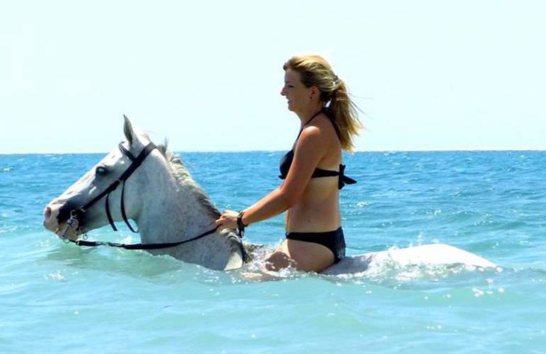 Pferde Reiten in Safaga: Reiten am Strand oder in der Wüste