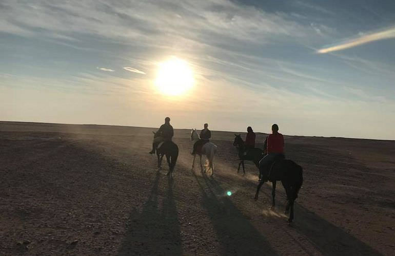 Pferde Reiten in Safaga: Reiten am Strand oder in der Wüste