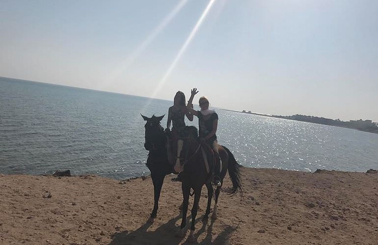 Pferde Reiten in Safaga: Reiten am Strand oder in der Wüste