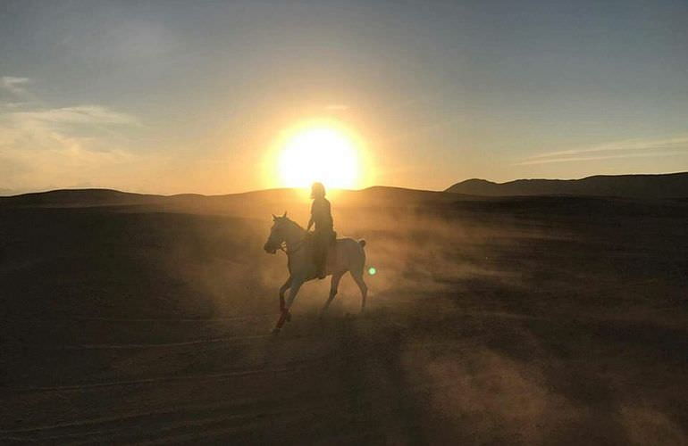 Pferde Reiten in Safaga: Reiten am Strand oder in der Wüste