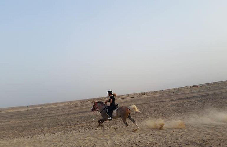 Pferde Reiten in Safaga: Reiten am Strand oder in der Wüste