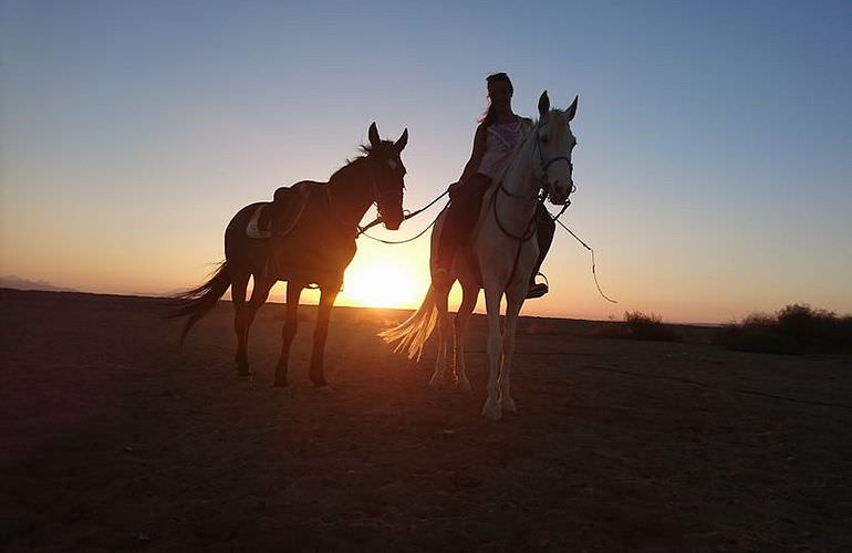 Pferde Reiten in Safaga: Reiten am Strand oder in der Wüste