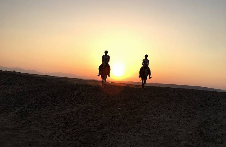 Pferde Reiten in Safaga: Reiten am Strand oder in der Wüste