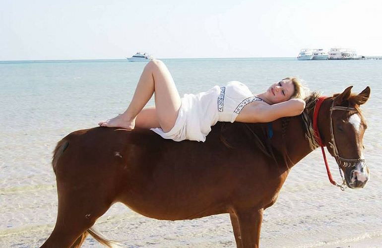 Pferde Reiten in Safaga: Reiten am Strand oder in der Wüste