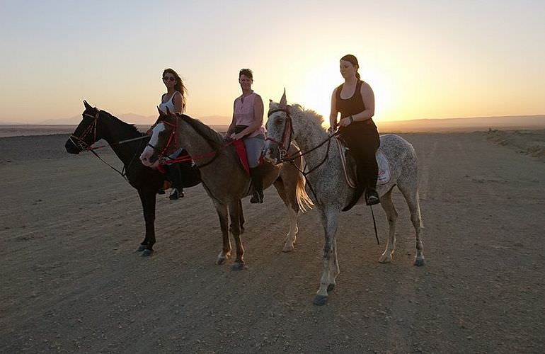 Pferde Reiten in Safaga: Reiten am Strand oder in der Wüste