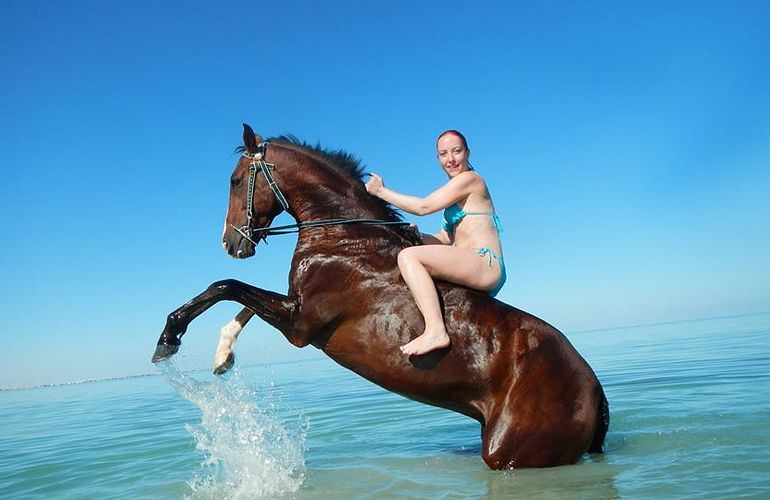 Pferde Reiten in Safaga: Reiten am Strand oder in der Wüste