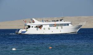 Exklusive Safaga Bootstour: Privater Ausflug auf eine einsame Insel mit Schnorcheln