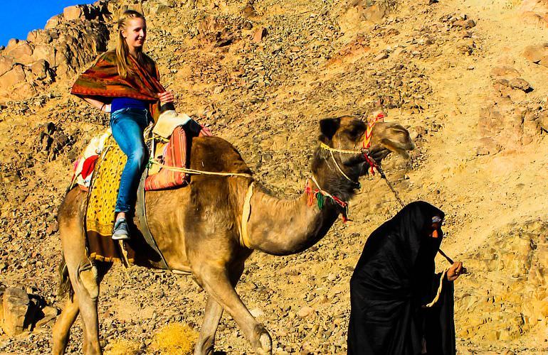 Quad Safari am Morgen durch die Wüste von Safaga mit Kamelreiten
