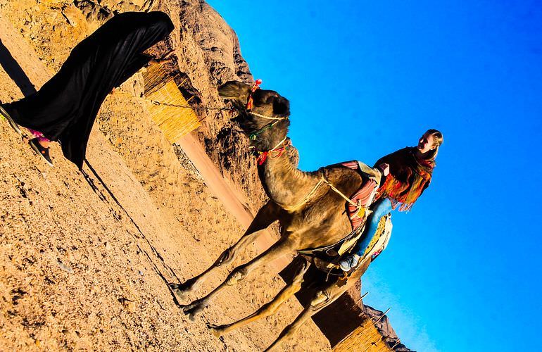 Quad Safari am Morgen durch die Wüste von Safaga mit Kamelreiten