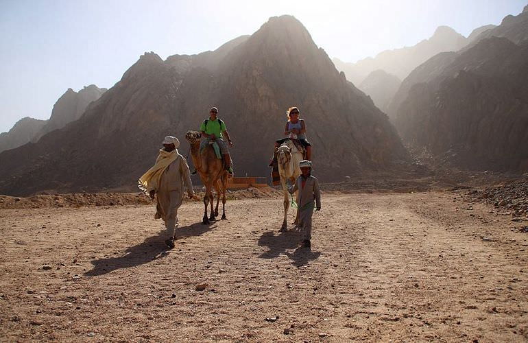 Quad Tour am Nachmittag durch die Wüste von Safaga