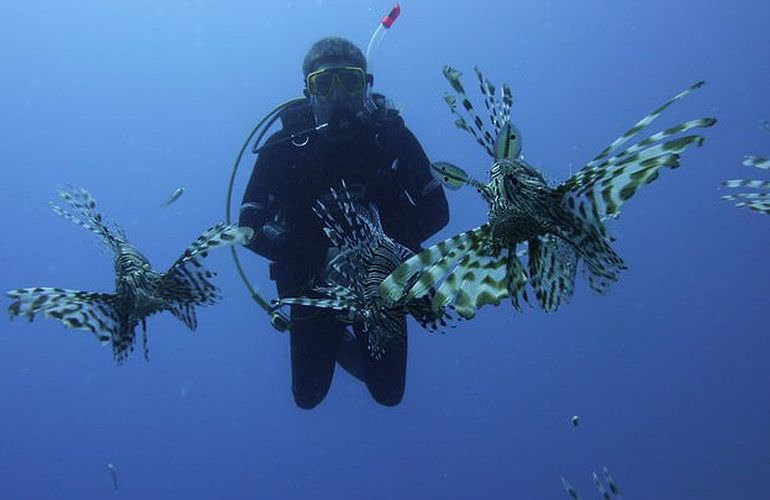 PADI Scuba Diver Kurs in Safaga - Schnuppertauchkurs 1 Tag