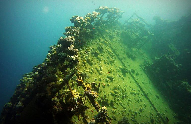 Fun Diving Safaga - Ganztägige Tauchfahrt mit 2 Tauchgängen