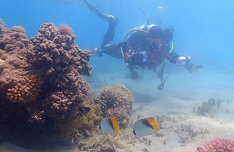 Fun Diving Safaga - Ganztägige Tauchfahrt mit 2 Tauchgängen