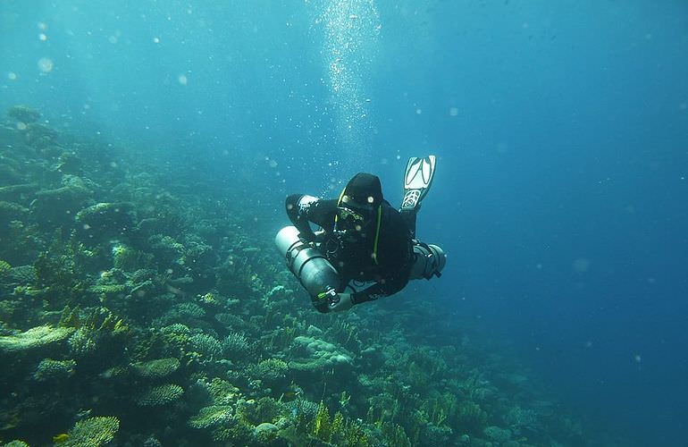 Auffrischungskurs: PADI Scuba Review Programm in Safaga