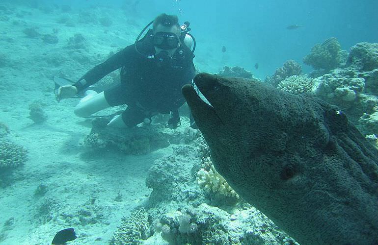 Fun Diving Safaga - Ganztägige Tauchfahrt mit 2 Tauchgängen