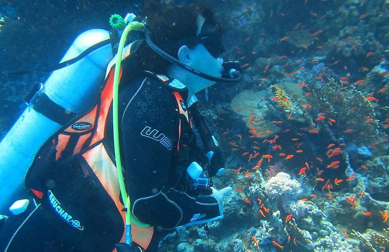 PADI Open Water Diver, der Einsteiger Tauchkurs in Safaga