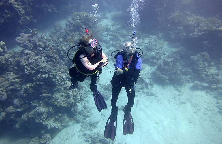 Fun Diving Safaga - Ganztägige Tauchfahrt mit 2 Tauchgängen