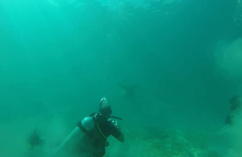 Fun Diving Safaga - Ganztägige Tauchfahrt mit 2 Tauchgängen