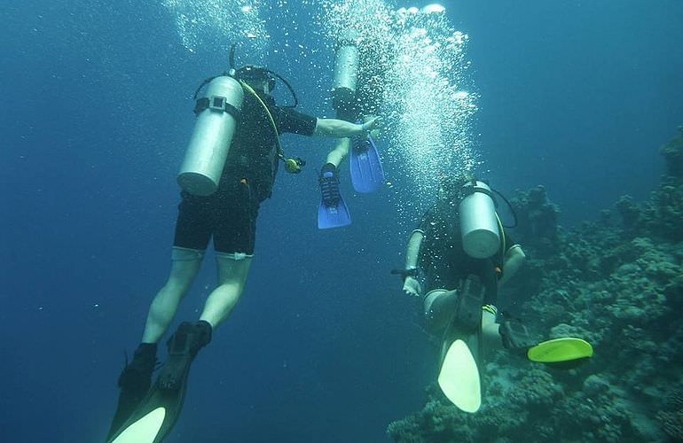 PADI Scuba Diver Kurs in Safaga - Schnuppertauchkurs 1 Tag